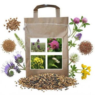 Nectar-producing Harmony Blend for Bees, Perennial - 1 kg
