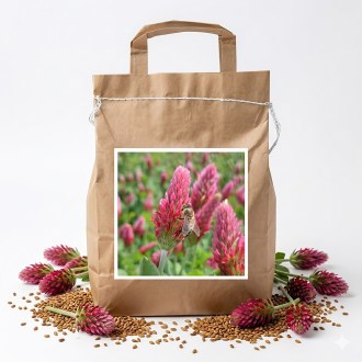 Crimson Clover CARDINAL seeds (incarnate) - 1 kg