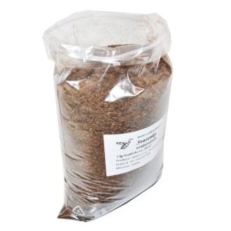 Phacelia tanacetifolia seeds - 1 kg