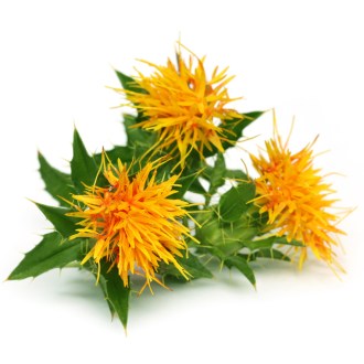 Safflower (seeds / bee pasture) - 0.5 kg