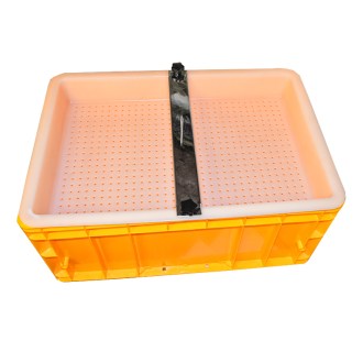 Uncapping tray with a thorn Mellarius