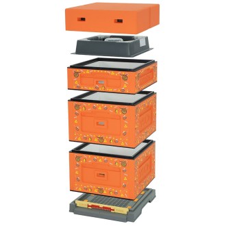 Dadant OPTIMA Hive, varnished (orange), printed - bee, disassembled