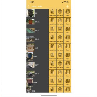 Hive Scale XS
