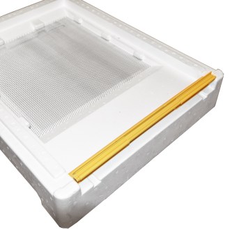 Polystyrene bottom for Langstroth beehive 10f