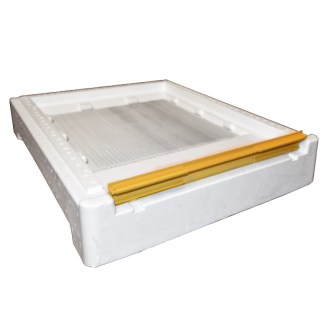 Polystyrene bottom for Langstroth beehive 10f