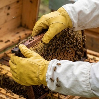 Impregnated Skin Gloves - S-XXL