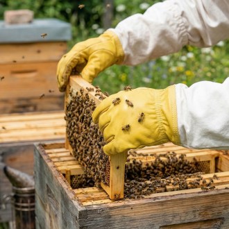 Impregnated Skin Gloves - S-XXL