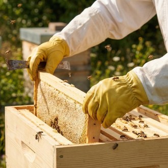 Impregnated Skin Gloves - S-XXL