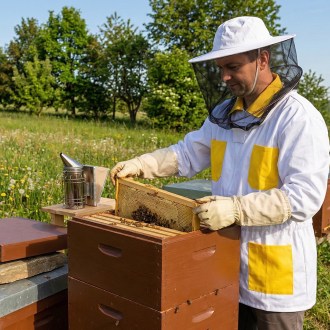 Beekeeping jacket with hat, sizes: 48–68