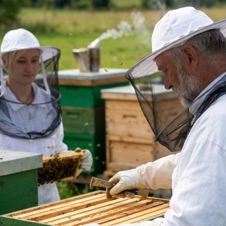 Bee hat with Veil