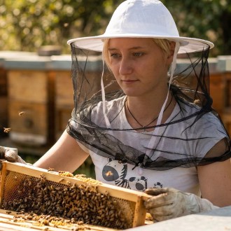 Bee hat with Veil