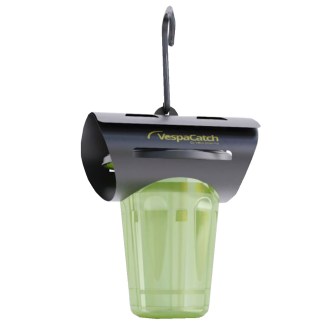 VespaCatch Asian Hornet Trap