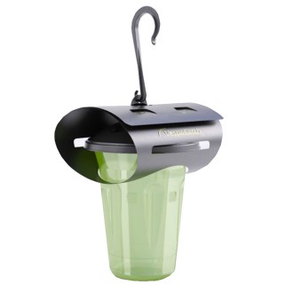 VespaCatch Asian Hornet Trap