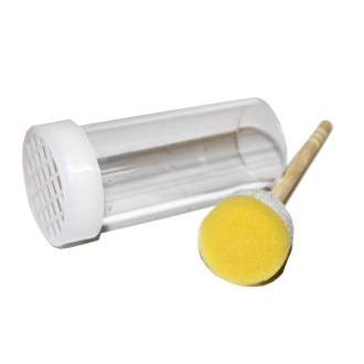 Past queen marking tube - E type