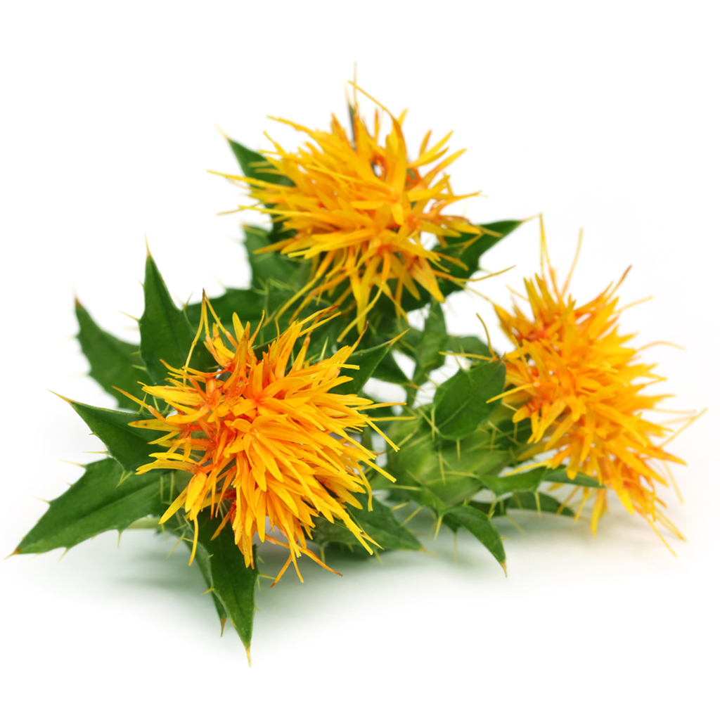 Safflower (seeds / bee pasture) - 0.5 kg