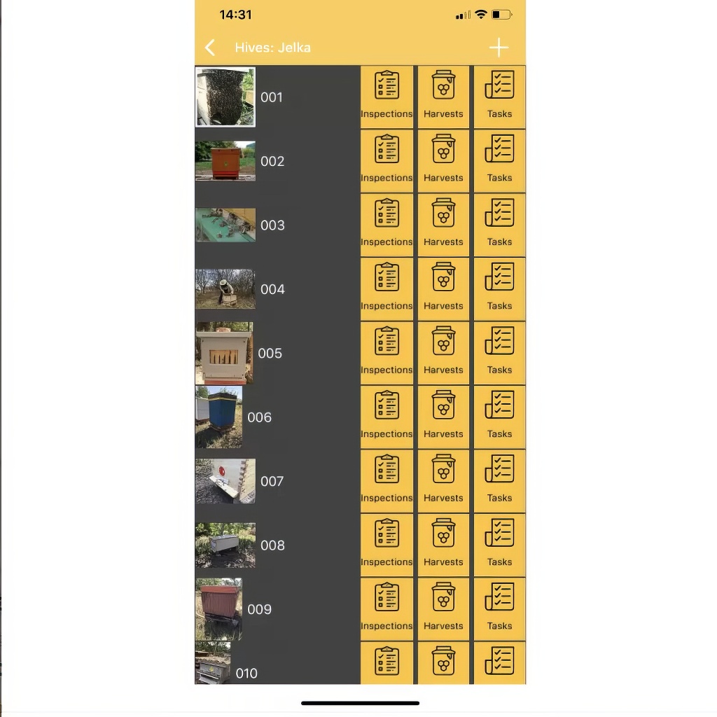 Hive Scale XS