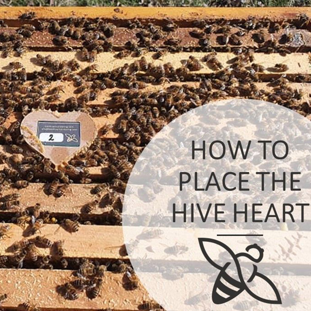 Internal hive monitoring - Hive heart 3.0